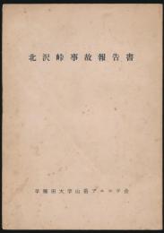 北沢峠事故報告書