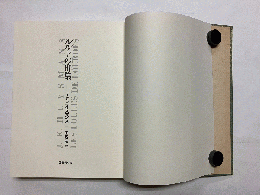 ルルドの群集