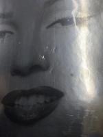 Marilyn Monroe and the Camera