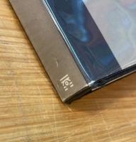 Arturo Giacomelli: Viaggio nella Trieste di Svevo