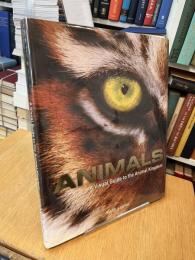 Animals A Visual Guide to the Animal Kingdom