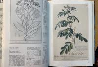 Sublime indigo : Exposition, Marseille, Centre de la Vieille Charité, 22 mars-31 mai 1987