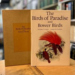 Birds of Paradise and Bower Birds