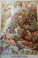Den Sköna Historien. EN LEDSAGARE FÖR BIBELLÄSARE 洋書：スウェーデン語