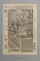 Original Leaves from Famous English Books, Original Leaves from Famous European Books
