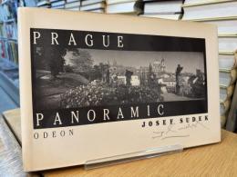 Prague panoramic
