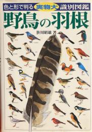 野鳥の羽根 : 実物大・識別図鑑