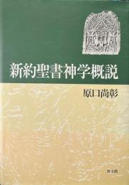 新約聖書神学概説