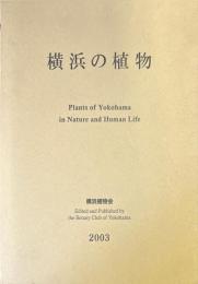 横浜の植物