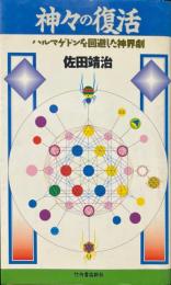 神々の復活　ハルマゲドンを回避した神界劇