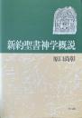 新約聖書神学概説