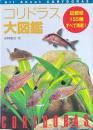 新コリドラス大図鑑 ＜アクアライフの本＞