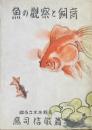 魚の観察と飼育