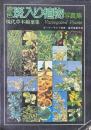 斑入り植物写真集 : 原色 現代草木錦葉集