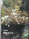 日本のユリ