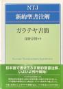 NTJ新約聖書注解　ガラテヤ書簡
