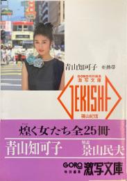 青山知可子 : 亜熱帯 ＜激写文庫＞