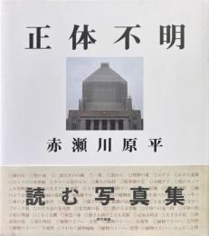 正体不明