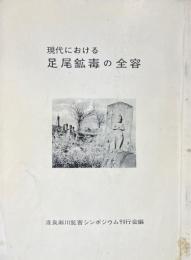 現代における足尾鉱毒の全容