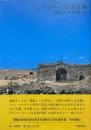 サンティヤーゴの巡礼路 ＜柳宗玄著作選 6＞