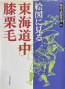 絵図に見る東海道中膝栗毛　<道中膝栗毛>