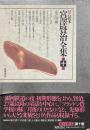 童話 3 ＜新 校本宮沢賢治全集 第10巻＞