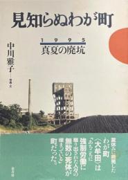 見知らぬわが町 : 1995 真夏の廃坑