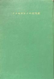アクセサリィの文化史