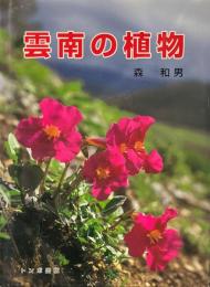 雲南の植物