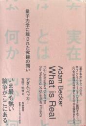 実在とは何か : 量子力学に残された究極の問い