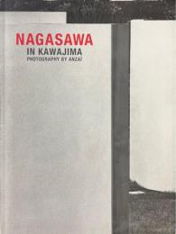 NAGASAWA IN KAWAJIMA ＜夢うつつの庭＞　長澤英俊展