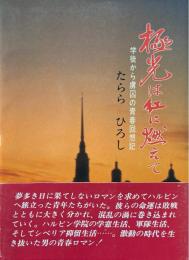 極光は紅に燃えて : 学徒から虜囚の青春回想記