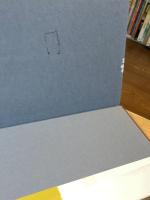 図説世界の先住民族