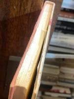 ボンヤリどうぶつえん