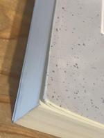 語りえぬものを語る (講談社学術文庫 2637)