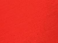 センチメンタルな旅・冬の旅