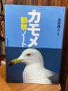 カモメ観察ノート