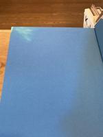 天使の悪夢九千句