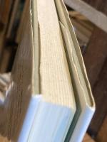 焔の女 : ルイーズ・ラベの詩と生涯