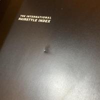 The international hairstyle index