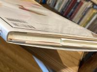 石頭コンピューター