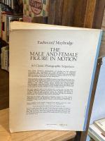 The male and female figure in motion : 60 classic photographic sequences