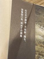 不染鉄之画集 FUSEN TETSU【難あり】