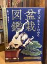 育て方がよくわかる盆栽図鑑: 人気品種の盆栽作業をプロセス写真で詳解