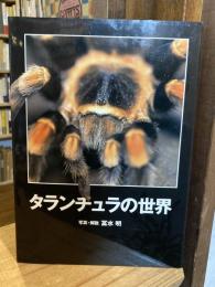 タランチュラの世界
