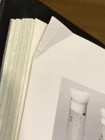 タランチュラの世界