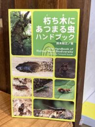 朽ち木にあつまる虫ハンドブック