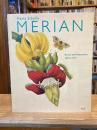 Maria Sibylla MERIAN Artist and Natur...