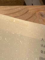 現代俳句ニュ-ウェイブ