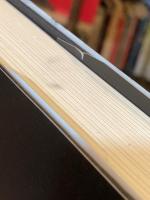 俺が公園でペリカンにした話